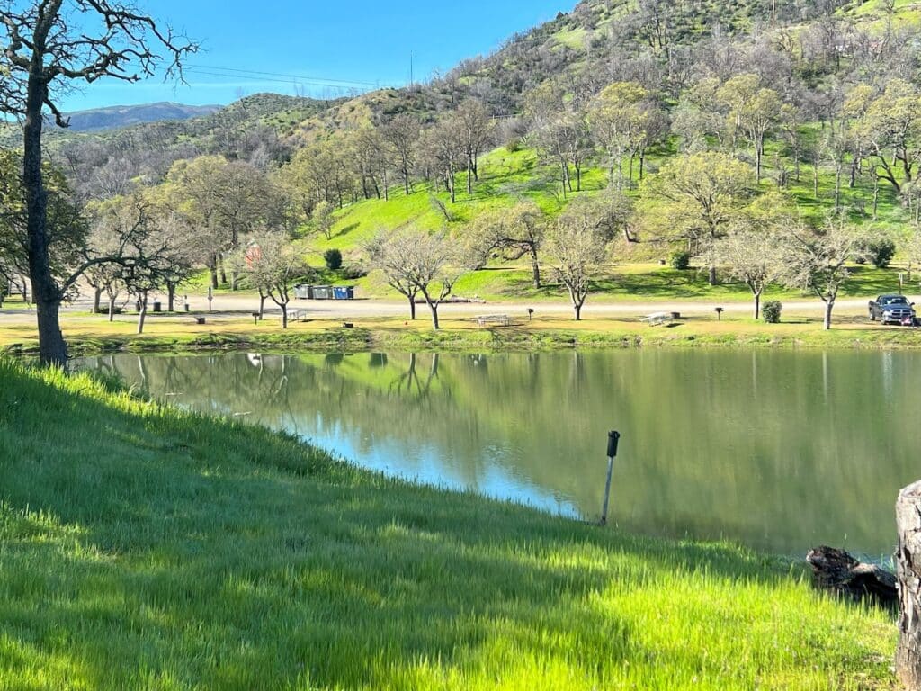 Peaceful lakeside view of campground at Lake Berryessa with reflections of trees and grassy hills in the still water.
