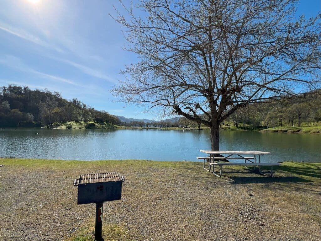 Picnic table and grill overlooking the calm shoreline of Lake Berryessa under a clear blue sky with a single tree in the foreground.